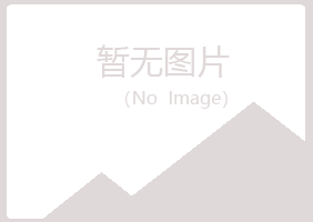 龙江县慕晴服务有限公司